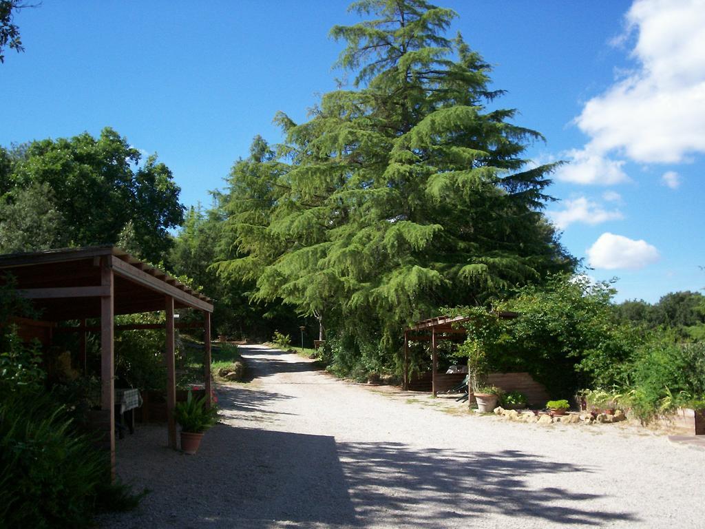 Podere Il Caggio Rooms Σαν Τζιμινιάνο Εξωτερικό φωτογραφία