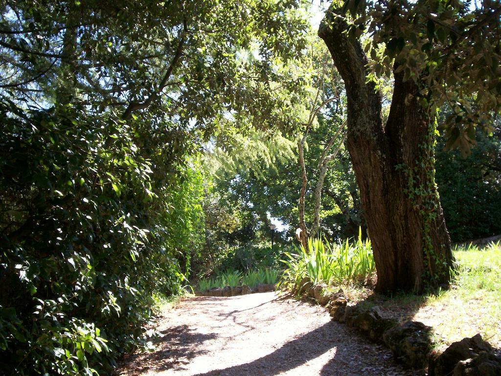Podere Il Caggio Rooms Σαν Τζιμινιάνο Εξωτερικό φωτογραφία